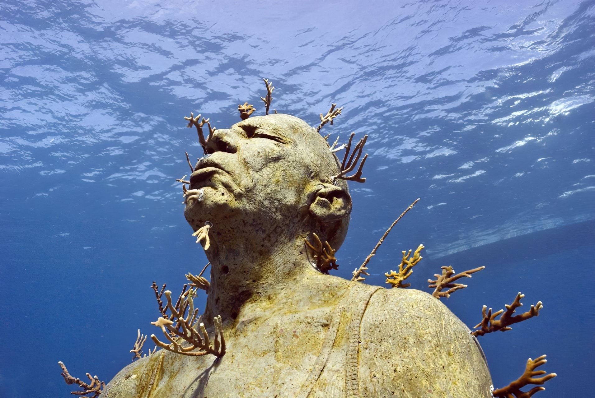 Le cénote Angelita une rivière sous marine au Mexique