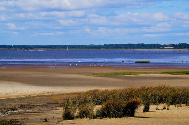 7 campings où loger dans le Bassin dArcachon