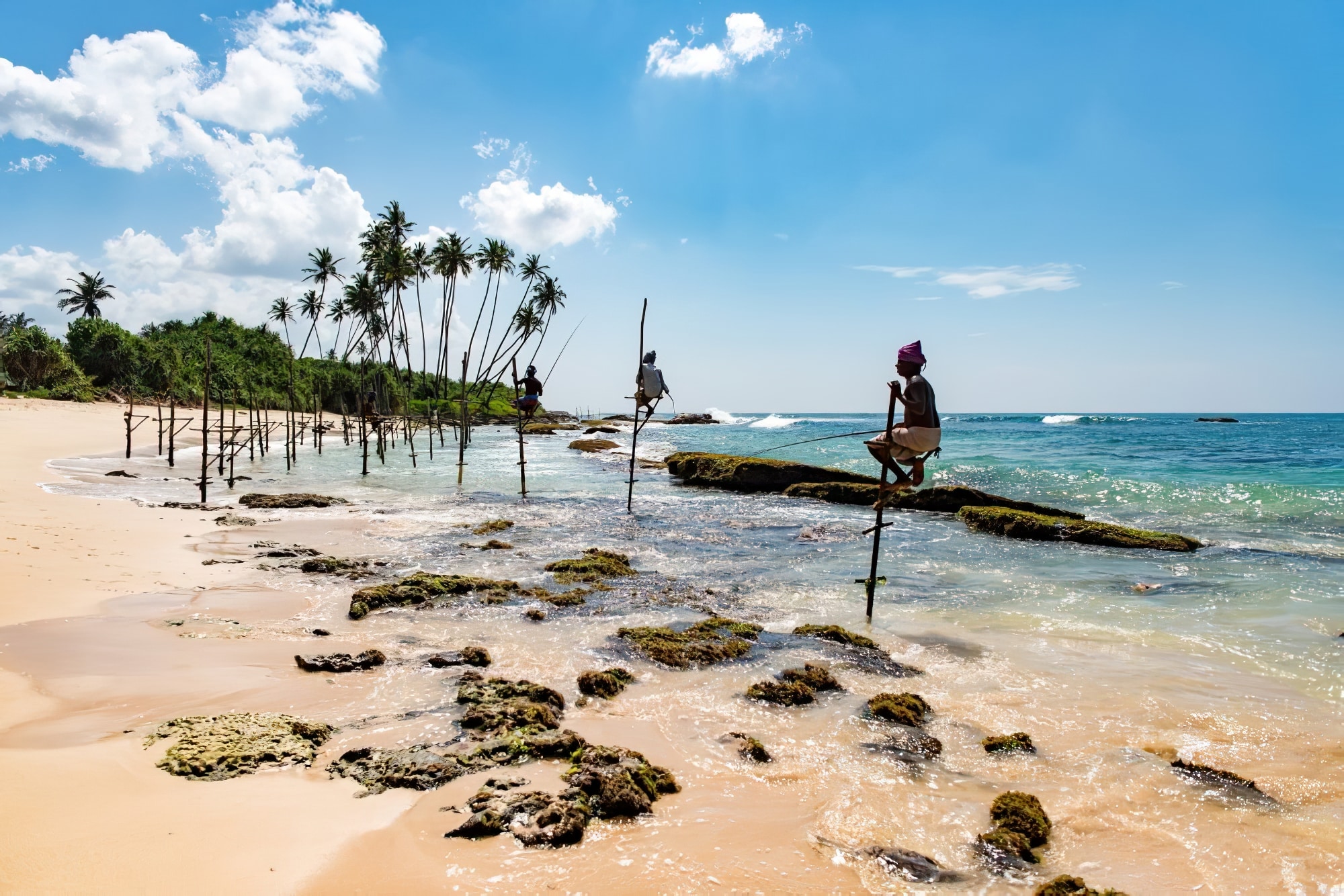 Les Choses Incontournables Faire Au Sri Lanka