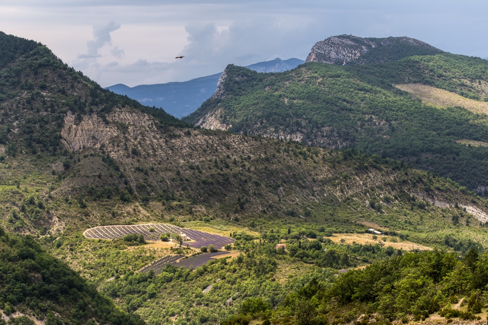 Visiter Le Parc Naturel R Gional Des Baronnies Proven Ales Guide Complet