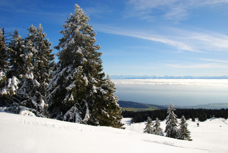 Les 11 choses incontournables à faire dans le canton de Neuchâtel