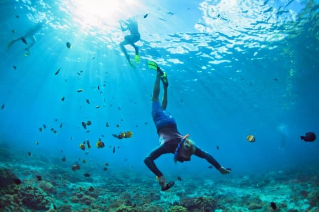 Les Meilleurs Spots De Plong E Et Snorkeling Lanzarote