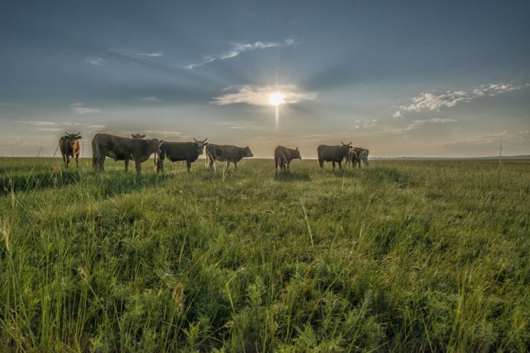 Les Plus Beaux Endroits Visiter En Mongolie Generation Voyage