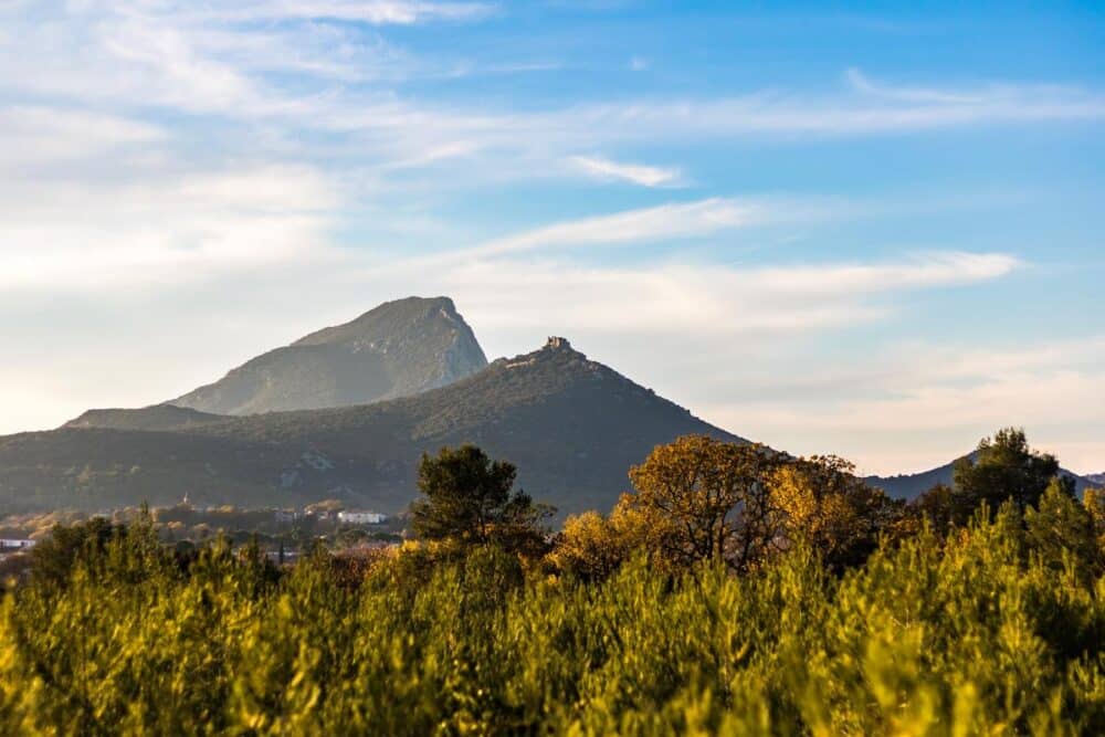 Domaines O Faire Une D Gustation Autour De Montpellier