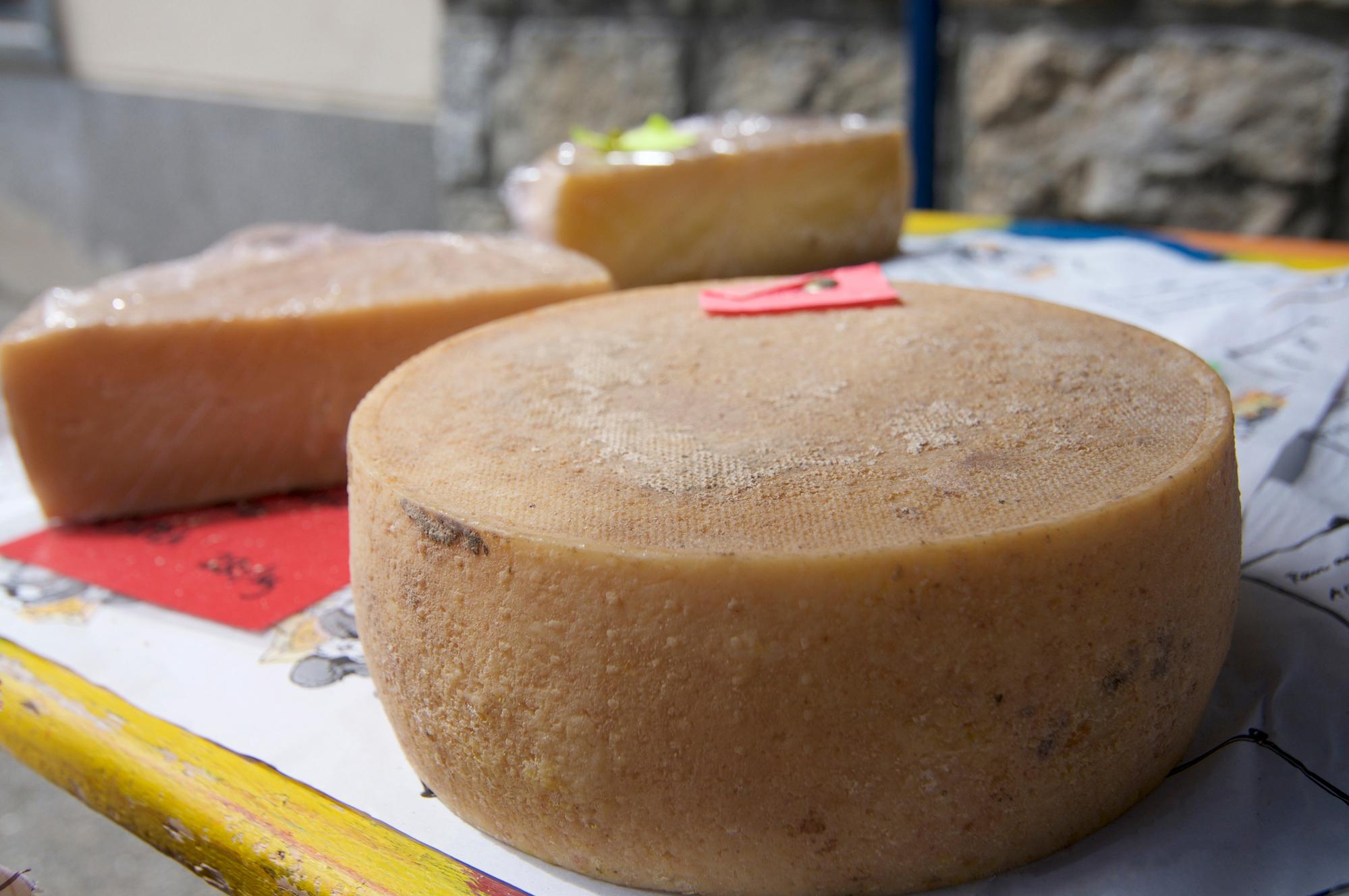 Les 10 fromages suisses incontournables à déguster