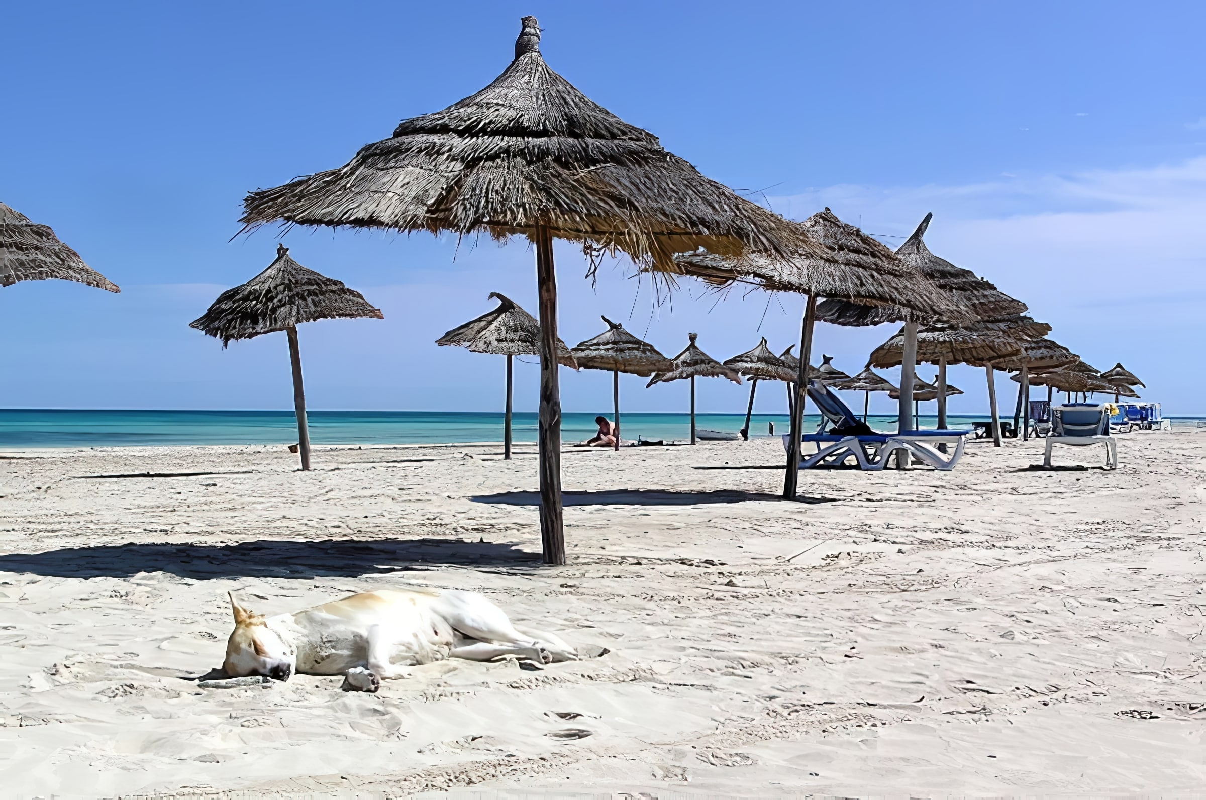 Vacances économiques en Tunisie