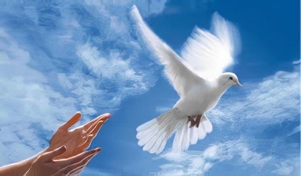 Classement de la « paix » dans chaque pays du monde