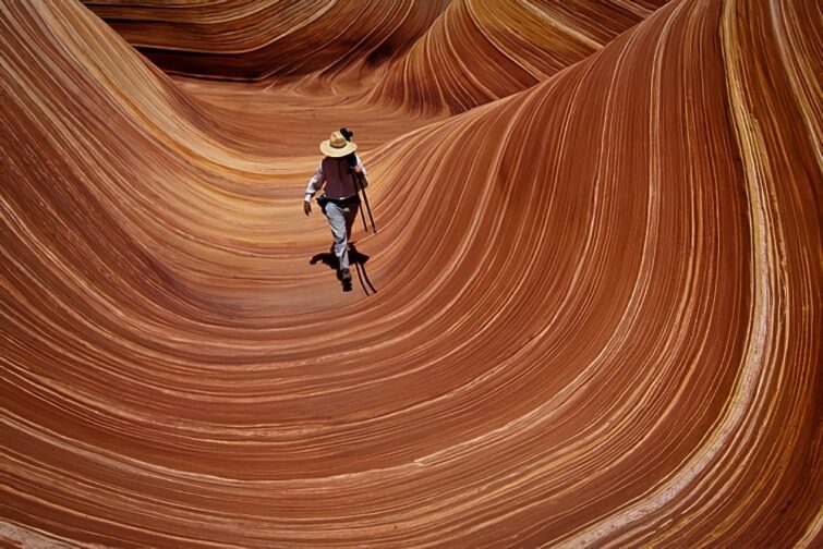 The Wave