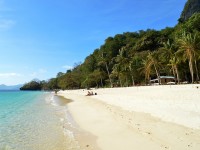 el nido