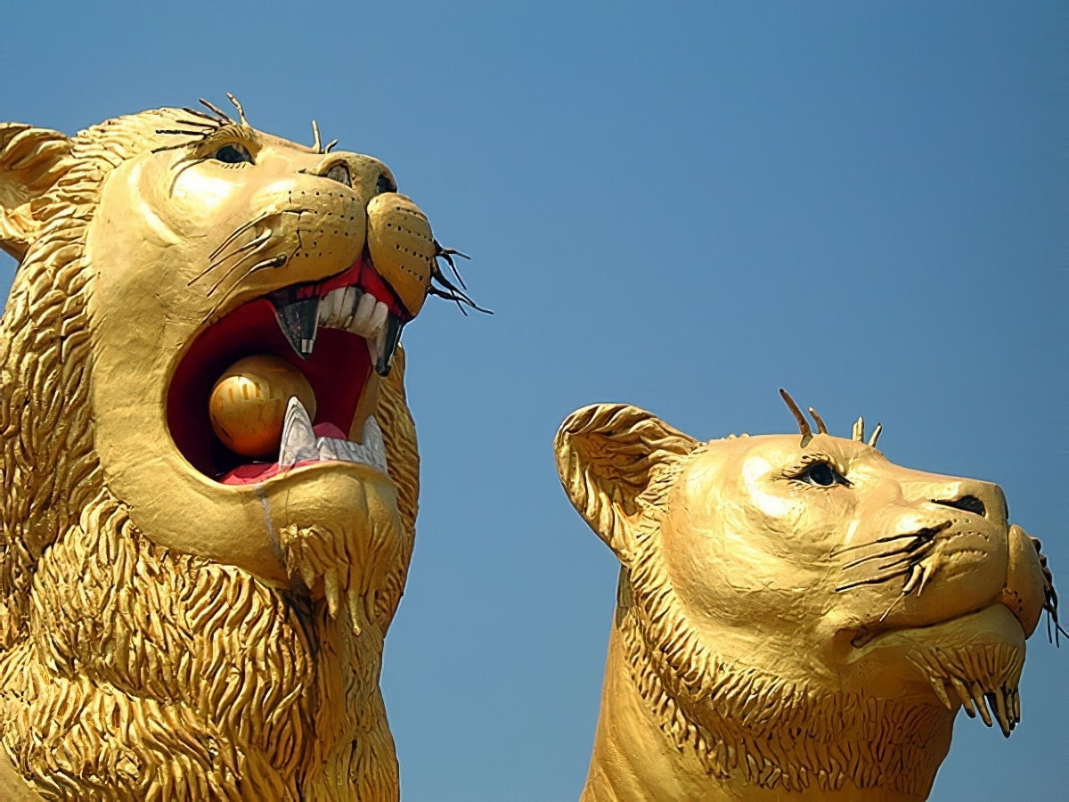 Vie nocturne Sihanoukville - Lion