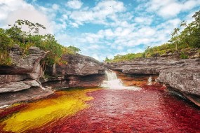 Caño Cristales, la « rivière aux 5 couleurs » de Colombie