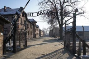 Porte d'Auschwitz le travail rend libre