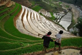 Le Nord du Vietnam : Sapa et ses rizières