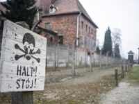 Visiter Auschwitz, Cracovie