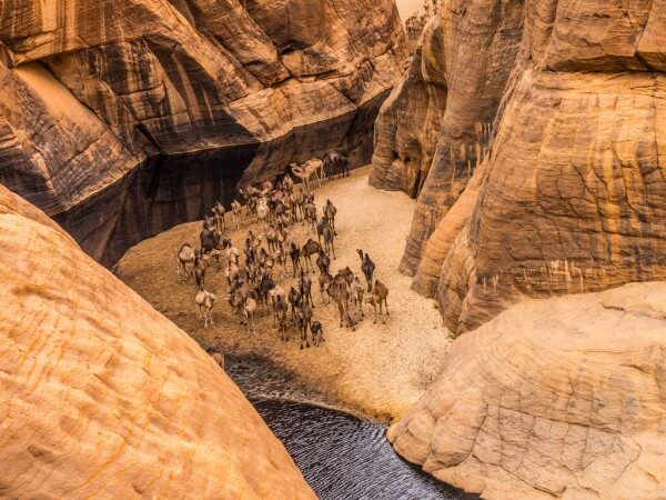 La Guelta d’Archei, une oasis surprenante au Tchad