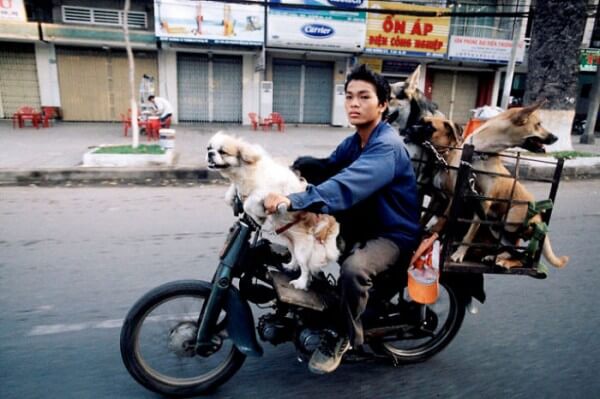 Hans Kemp Bikes of burden, motos et scooters au Vietnam