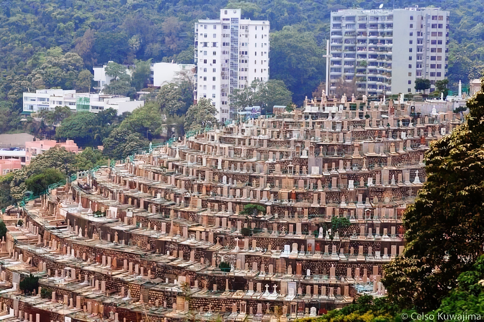Discover : Pok Fu Lam Terraced Cemetery in Hong Kong