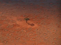 Cercles des Fées, Namibie, Afrique