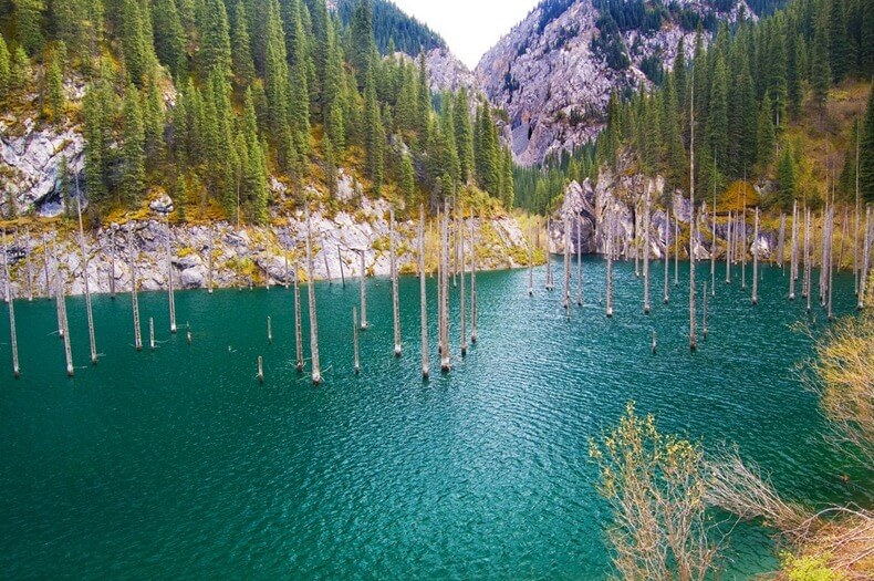 La For t Submerg e Du Lac Kaindy Au Kazakhstan