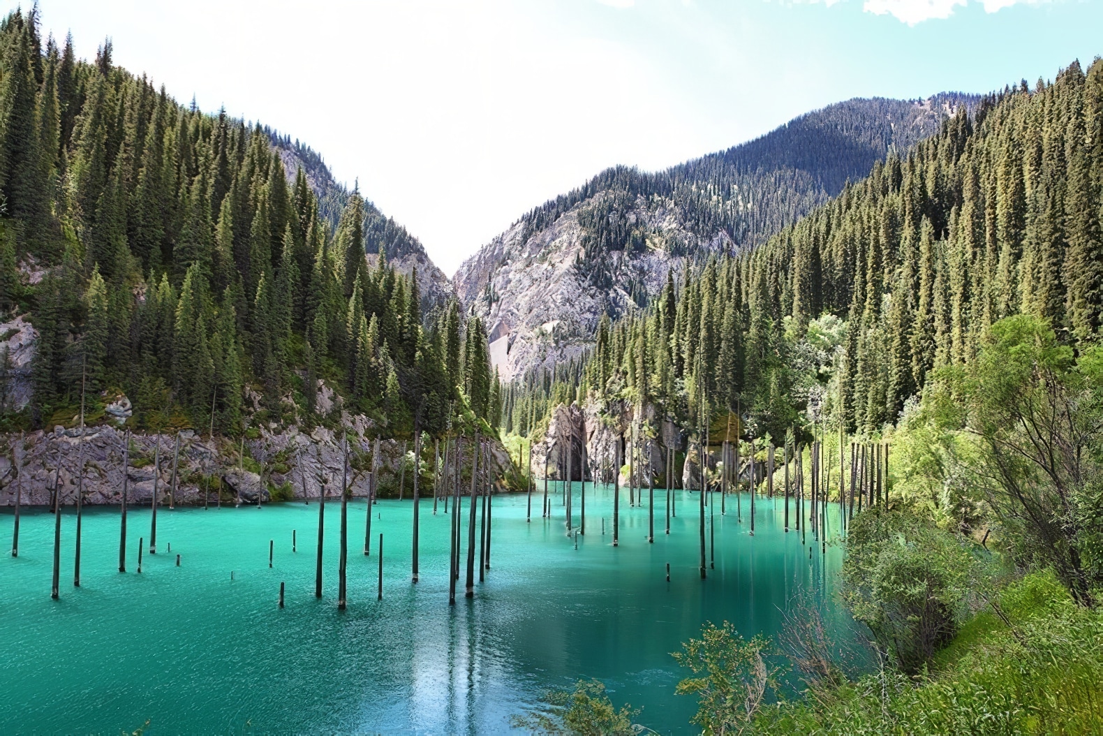 La For t Submerg e Du Lac Kaindy Au Kazakhstan