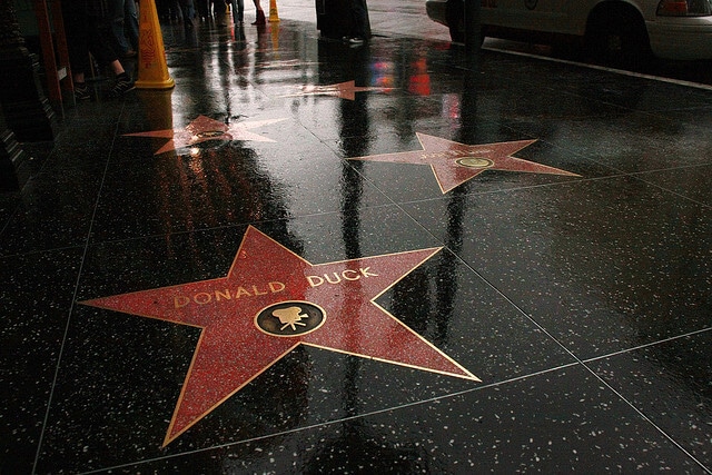 Stars Hollywood Los Angeles