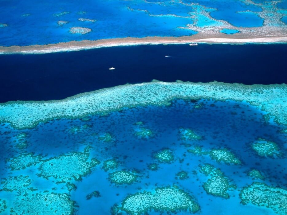 Photo récif corallien en voie de disparition