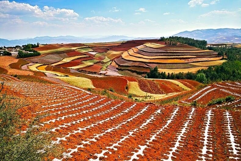 Terrasses de terres rouges et ocres de Dongchuan en chine