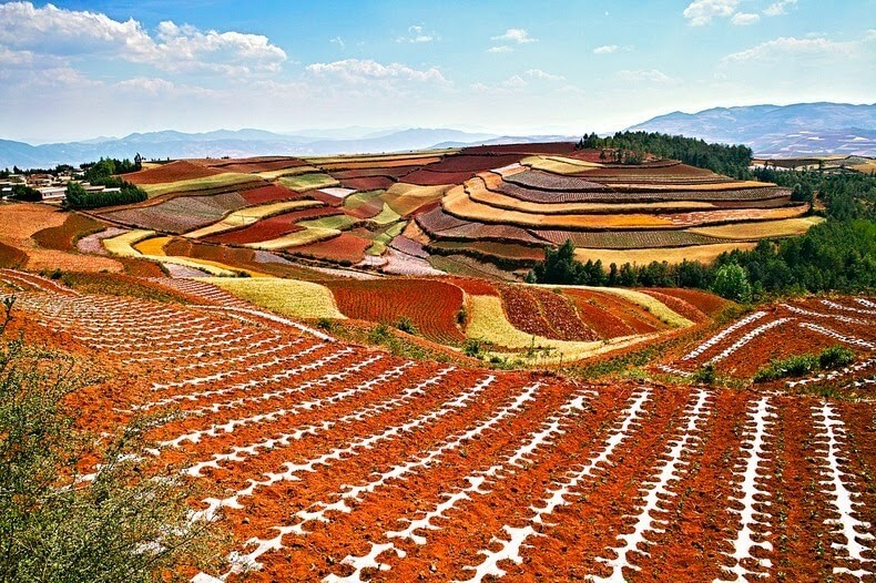 Dongchuan red and ocher earth terraces in China