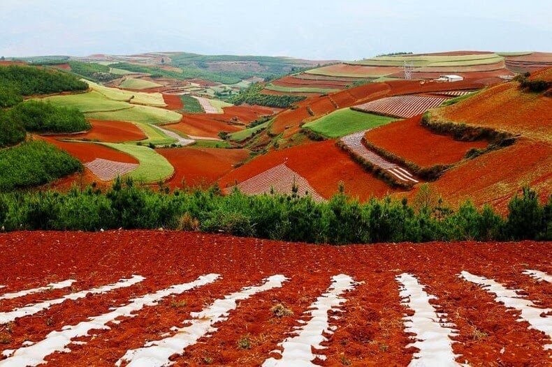 Terrasses de terres rouges et ocres de Dongchuan en chine