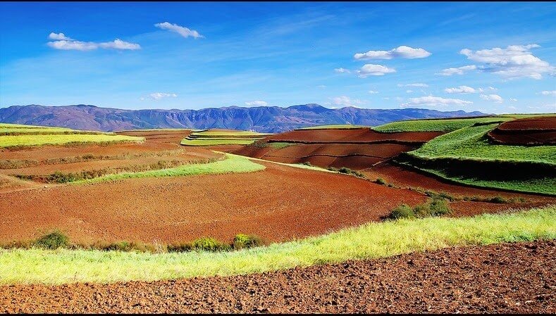 Terrasses de terres rouges et ocres de Dongchuan en chine