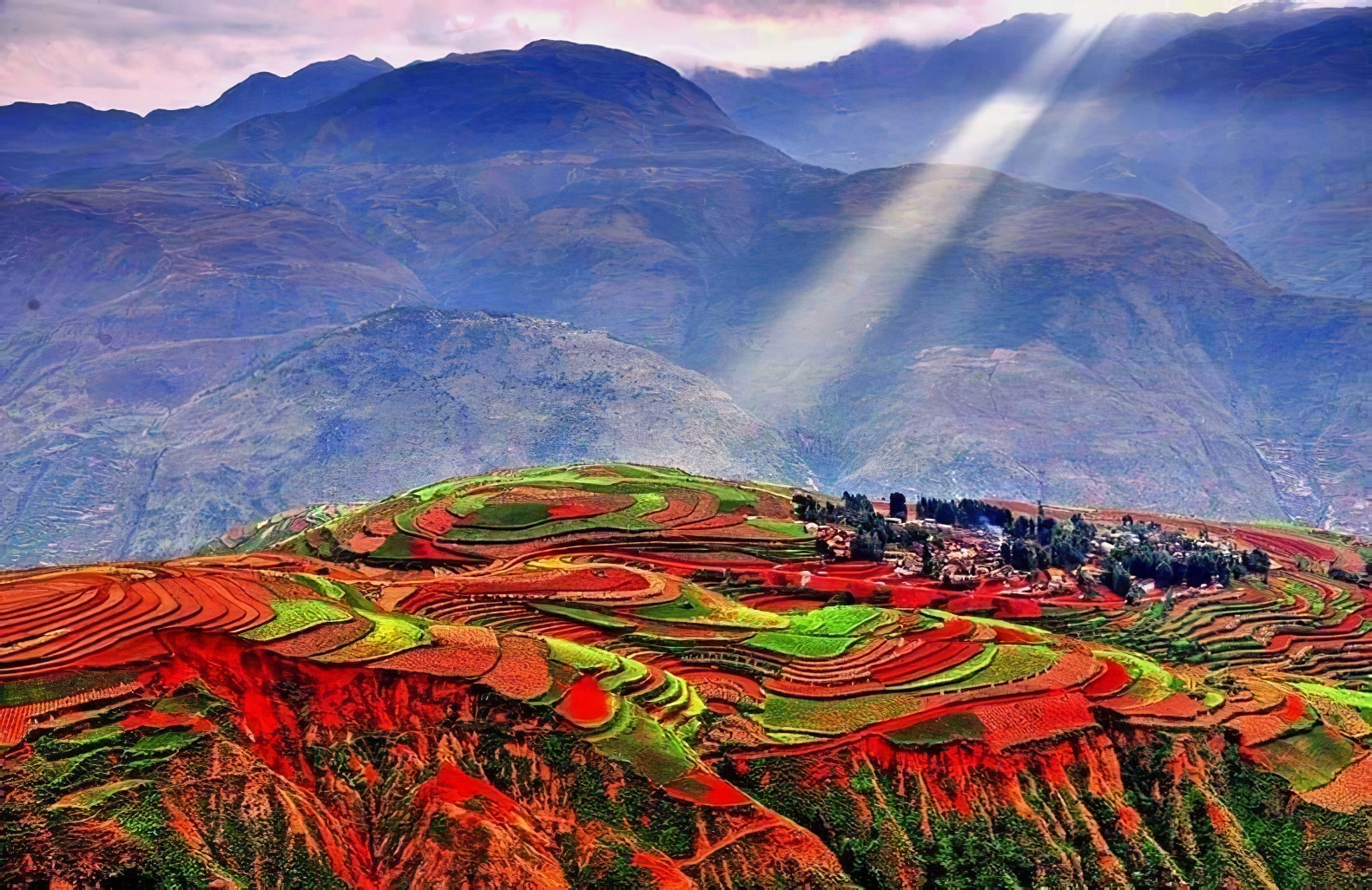 Terrasses de terres rouges et ocres de Dongchuan en chine