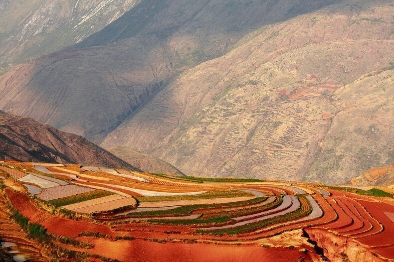 Terrasses de terres rouges et ocres de Dongchuan en chine