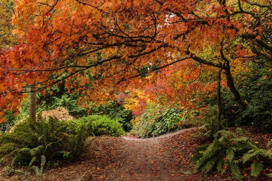 Superbes endroits pour admirer les couleurs de l'automne dans le monde