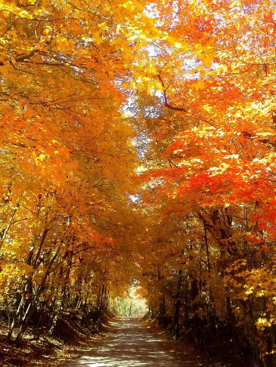 Superbes endroits pour admirer les couleurs de l'automne dans le monde