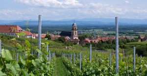 Visitez la route des vins et les vignobles Alsaciens depuis Strasbourg