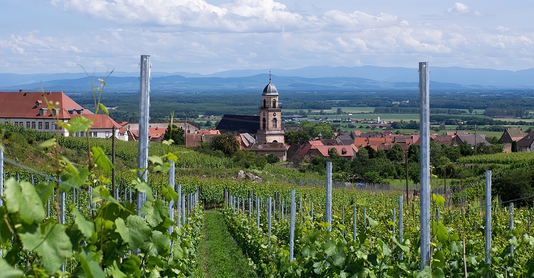 Route des vins d'Alsace