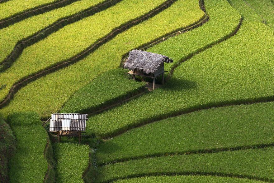Photos de rizières en terraces ressemblant à du verre brisé