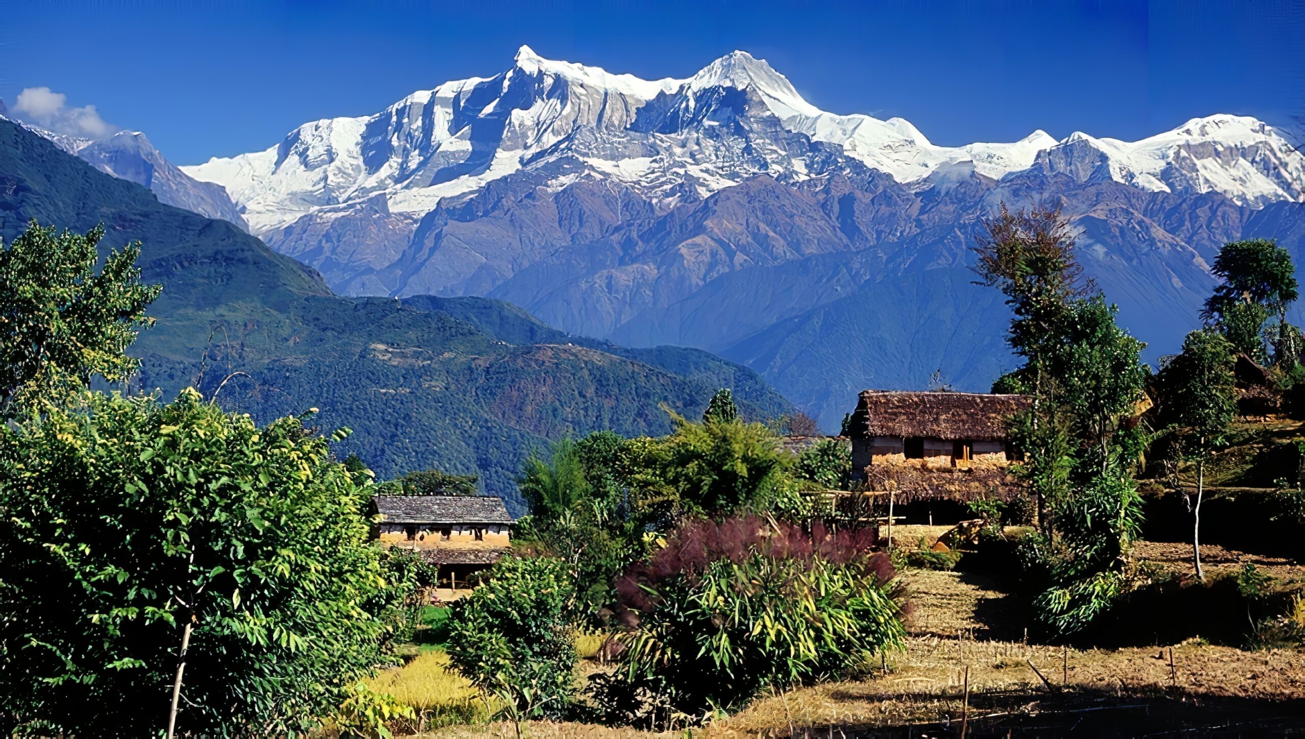 Guide Voyage Népal