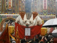 Pigs of God, festival, Taiwan, énorme cochon