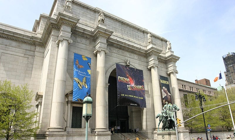 Musée d'Histoire Naturelle de New York