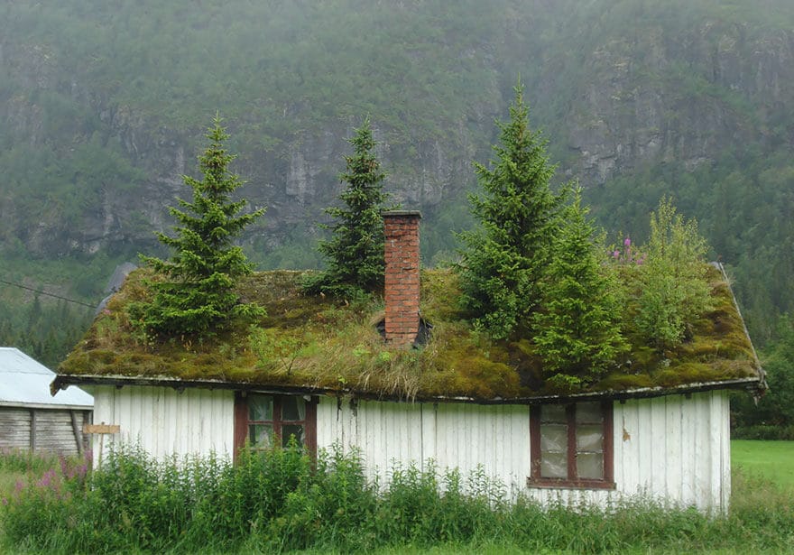 Architecture, Norvège, style viking, voyage