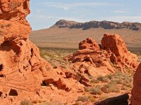 balade à cheval, valley of fire, las vegas