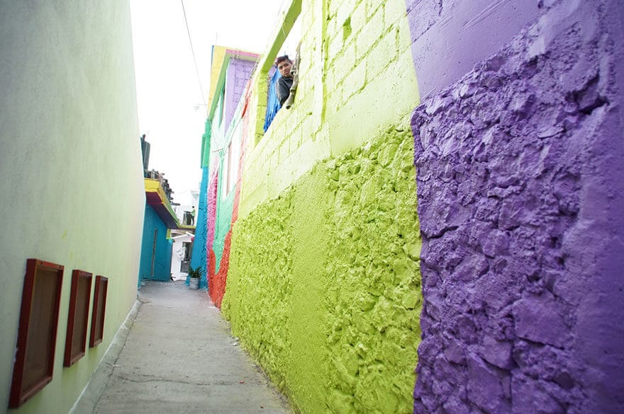 street-art, fresque, pachuca, palmitas, mexique