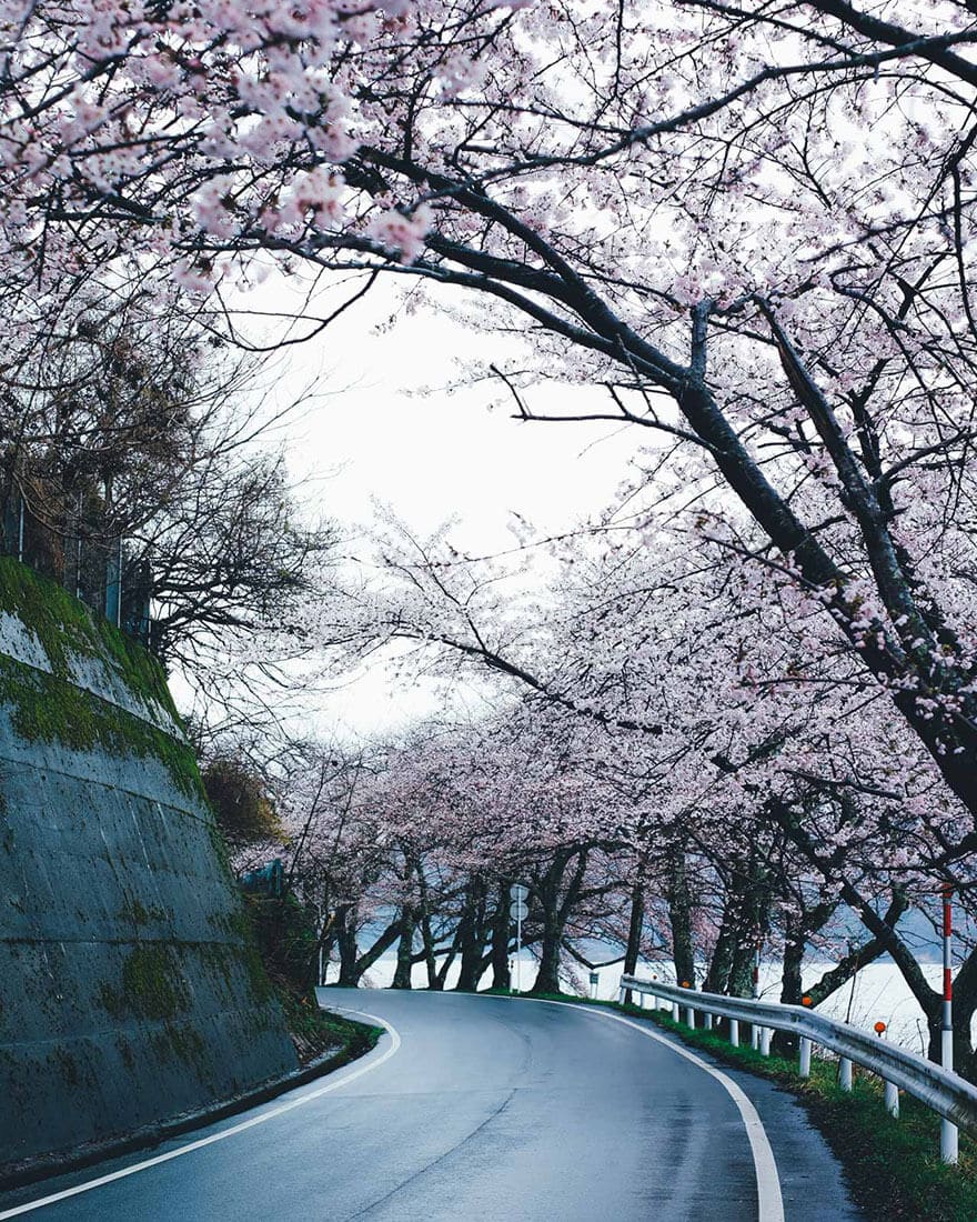 beauté Japon, photo, Takashi Yasui
