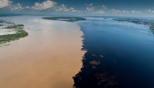 rencontre des eaux Manaus