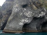 Elephant rock, Heimaey, Islande