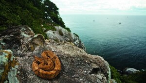 île de Queimada Grande, serpents