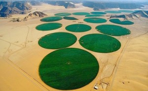 Des terres agricoles en plein désert de Wadi Rum en Jordanie