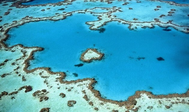 Heart Reef, Corail, Australie