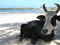 Plage de Ramena, Madagascar